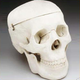 Image for article titled Make Your Own Animatronic Screaming Skull Brake Lights With Junkyard Parts!